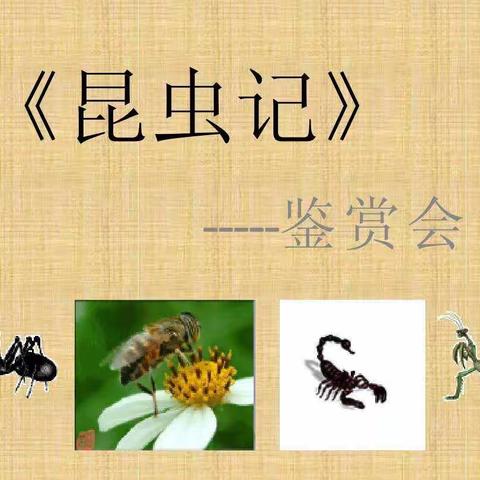 走近生物学家，感受昆虫之美——记《昆虫记》阅读