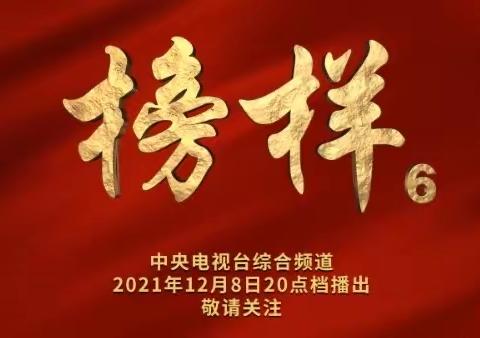 浮宫中学党支部组织学习收看《榜样6》情况报告