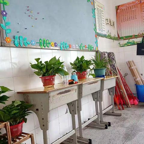 美丽校园，绿色三九班，让我们一用绿色来装扮我们美丽的教室吧！愿我们像花儿一样茁壮成长。