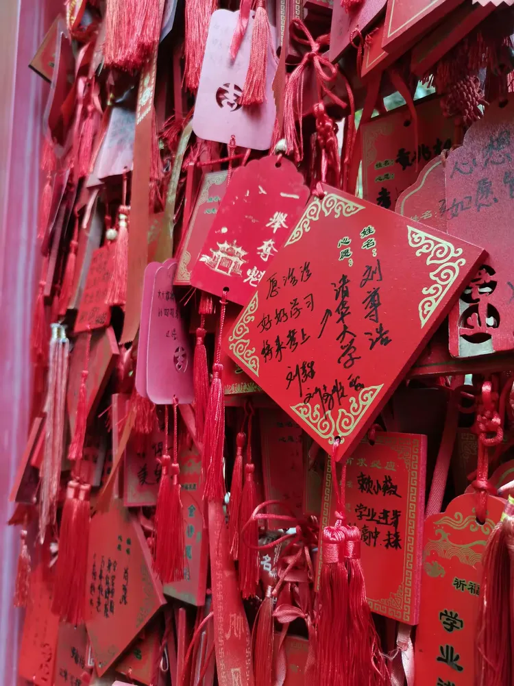 祈求万事如意心想事成的许状元树,孩子们许愿学习进步!更上一层楼