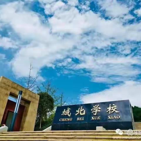 『专业知识促发展，实践运用焕新颜』——记城北学校小语培训