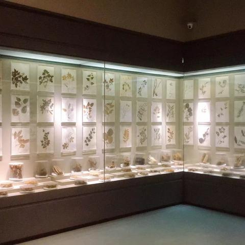 非物质文化传承“恩施文化中心”—郭谨诚