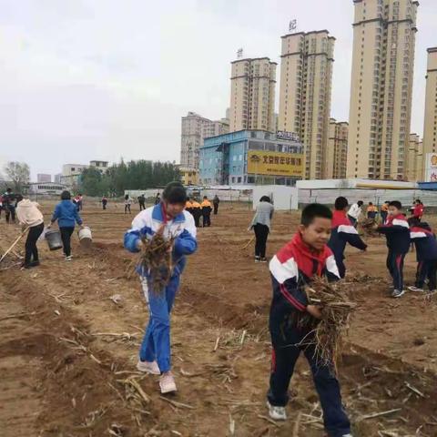 播种希望 收获梦想——记潞州区站前路小学种植劳动实践活动