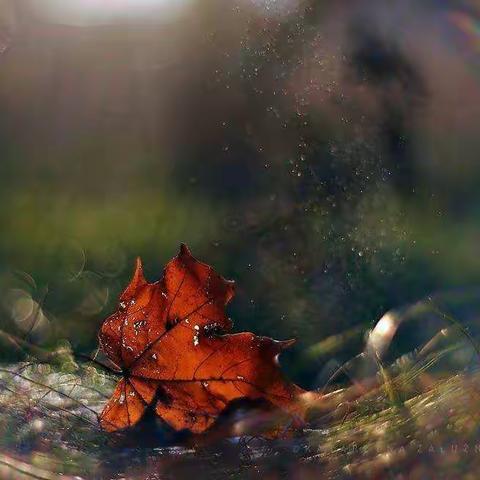 人在路上，心在远方——现代东校语文组第二大周工作侧记