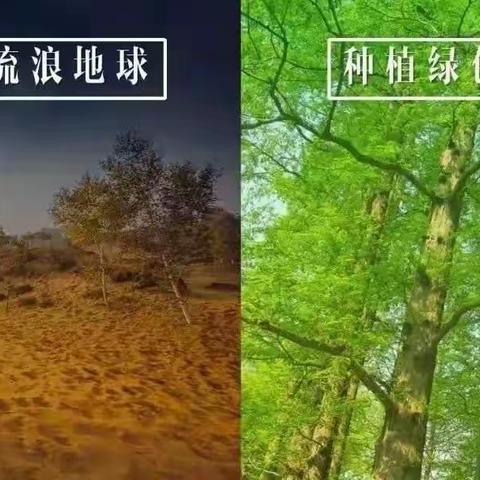 《春的节日》主题活动山西医科大学幼儿园中班