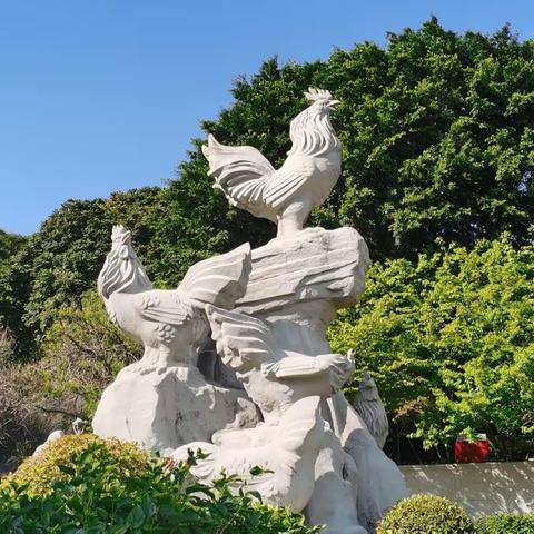 金鸡山公园漫游记录（1）