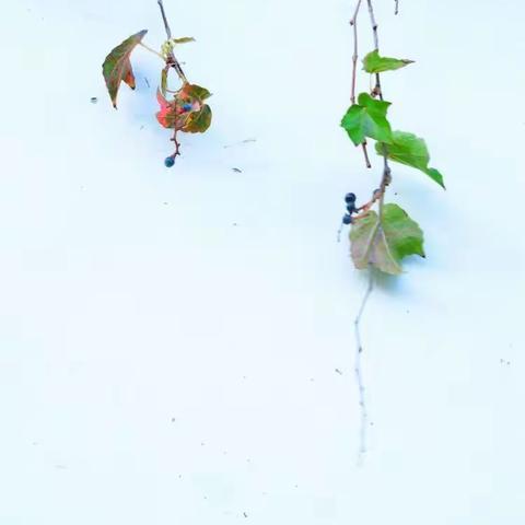 渐行渐远
