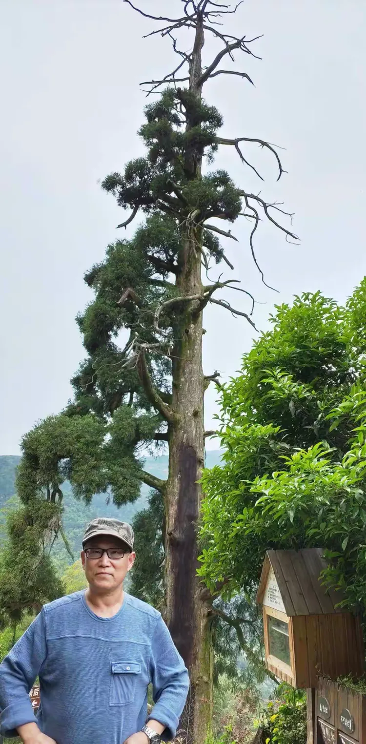 浙西南游纪——走进松阳之三
