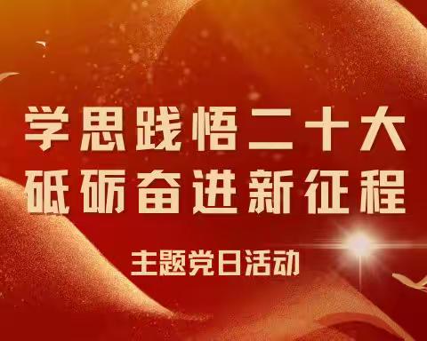 化学与环境工程学院召开“学思践悟二十大、砥砺奋进新征程”主题党日活动