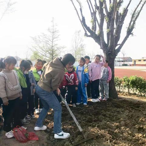 【明小西校区】绽放劳动之花，遇见成长之美——博采中队实践基地活动纪实