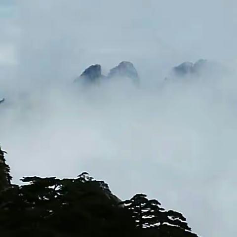 大美黄山