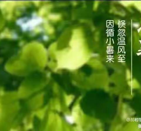 小暑盛夏 心有所“暑”——郝村学区徐屯小学小暑节气活动