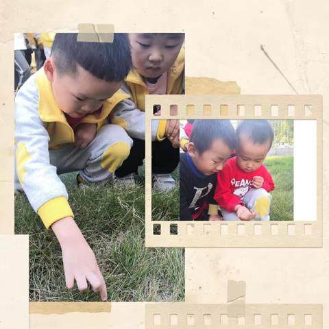 【高新区小营中心幼儿园】海燕五班科学活动“可爱的小蚂蚱”