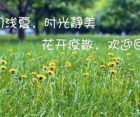 五月浅夏，时光静美，花开疫散，欢迎回家！