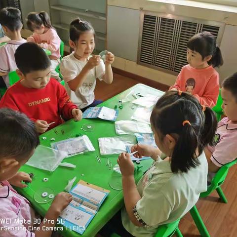 通益优佳医院幼儿园大二班科学实验《恐龙化石》