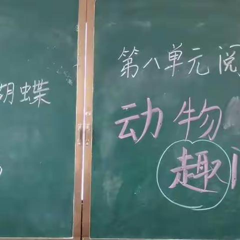 清丰县诚睦路小学二年级6-11班阅读课程主题————动物世界  谱就精彩