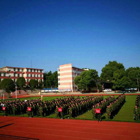 青葱校园，迷彩生活