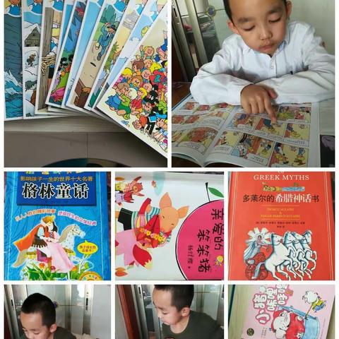 淘淘的快乐暑假生活