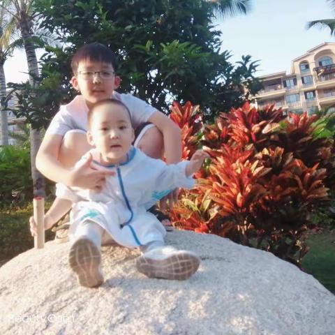 《乌丢丢奇遇》读后感