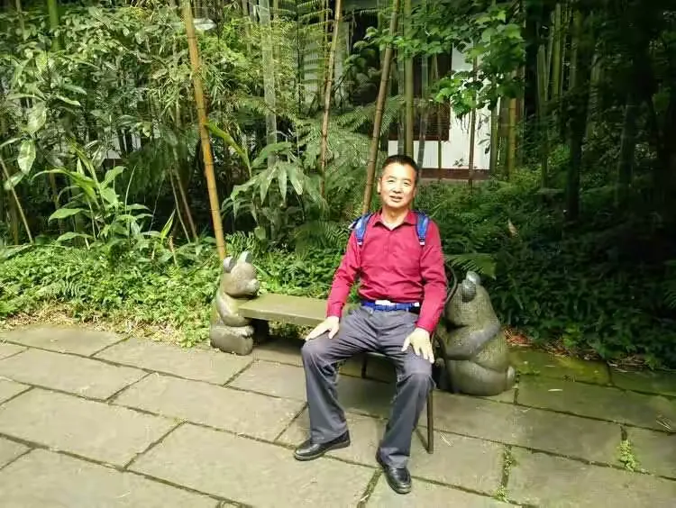 杨凤玲