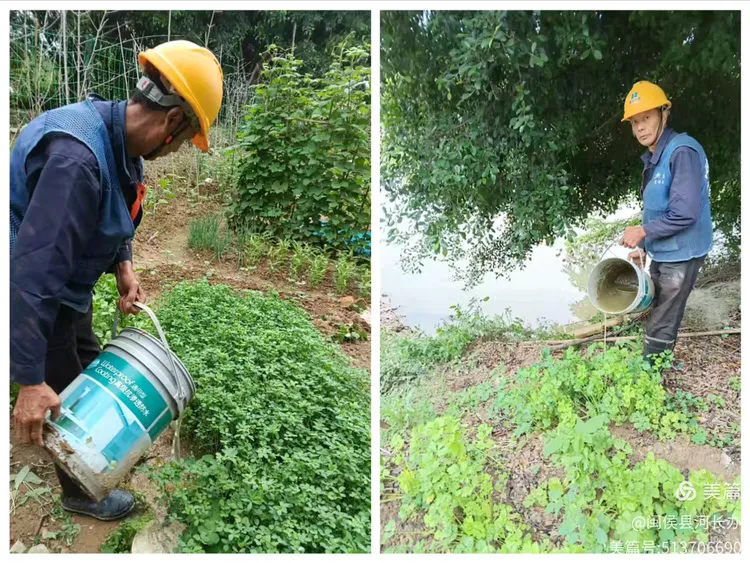 翻盆倒罐清积水 筑牢防蚊防疫防线