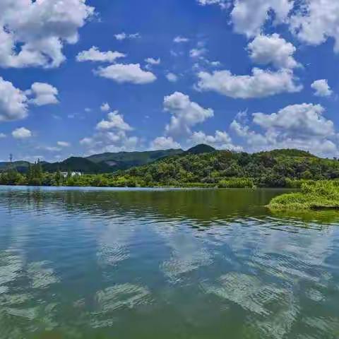 炎炎夏日，亲水亲绿亲孝顺