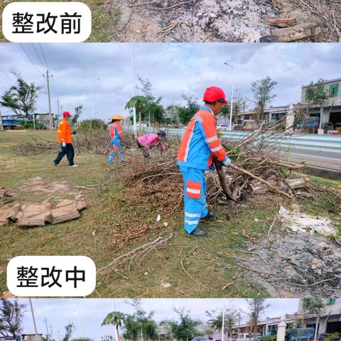 大致坡镇大东村委会开展人居环境卫生整治简报