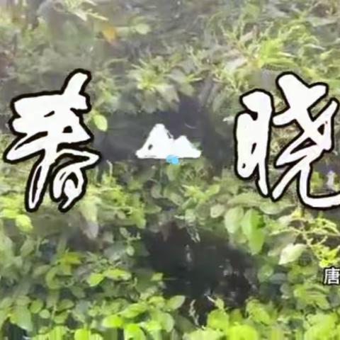 主题式探究  多学科融合——“小课堂”里做好“大文章”