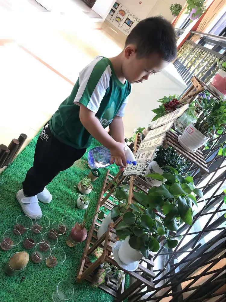 我是辛勤的小园丁……