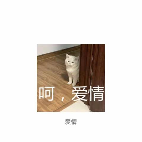 开学第一天，你家娃的第一句话是什么？