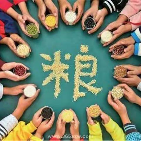 小三班“世界粮食日”半日活动花絮