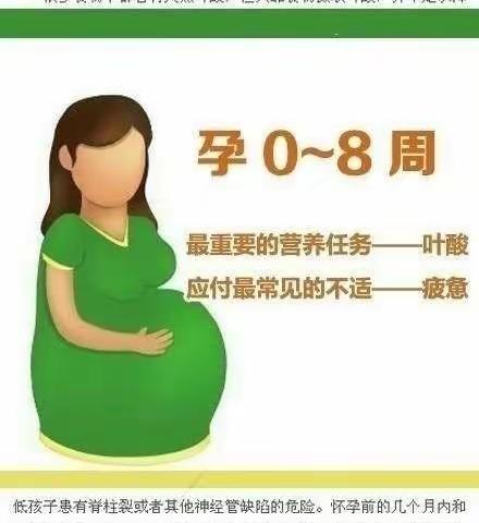 可爱宝贝孕期营养日记