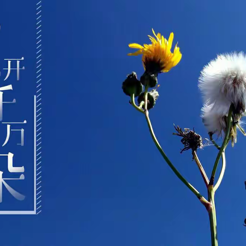 体验式班会之《写好中国字，做好中国人》——呼玛一中三年三班