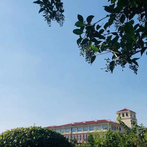 707—我们军训的第四天