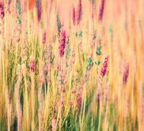 长平乡中心小学教研活动有亮点——三年级数学集体备课活动