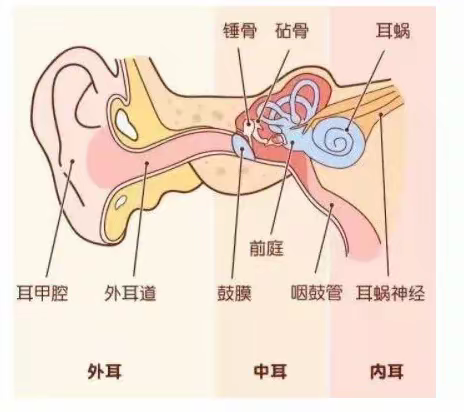 爱耳护耳，聆听美好——小龙人幼儿园【爱耳日】主题活动