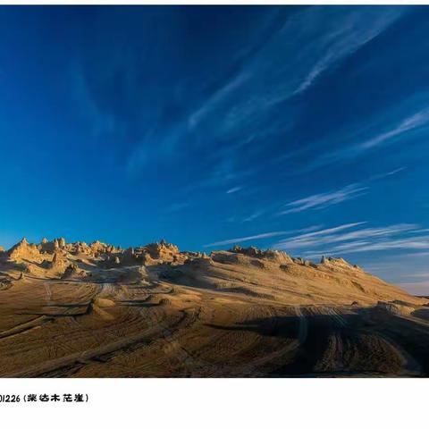 邂逅柴达木