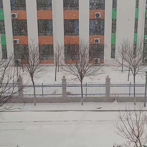 看雪