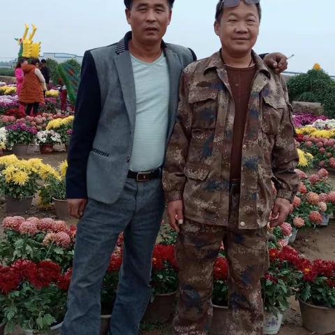 陉山菊花台一日游