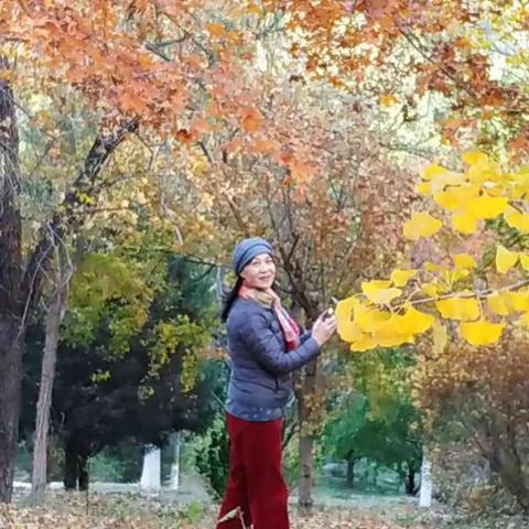 2020不寻常的秋天