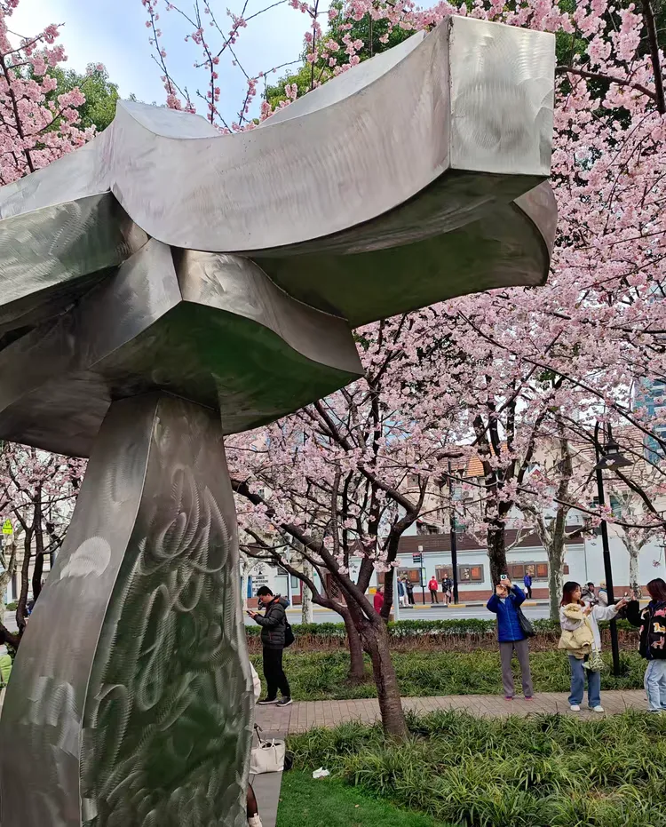 静安雕塑公园看樱花
