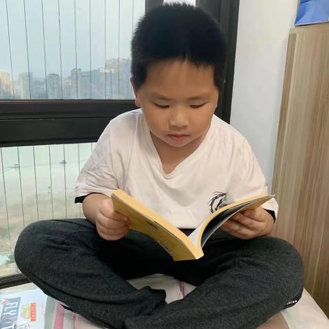 小柳·书香校园（12）｜理想的书籍是智慧的钥匙