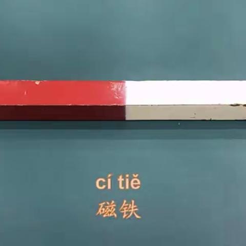 小柳•防控疫情｜停课不停学，我们爱科学！(三)