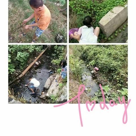 旭日小学开展“保护母亲河 争当河小青”主题系列活动