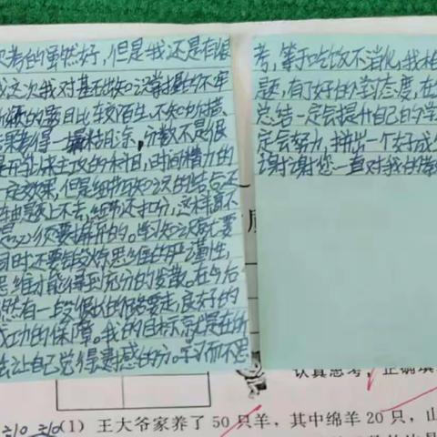 孩子们对自己学习的认识