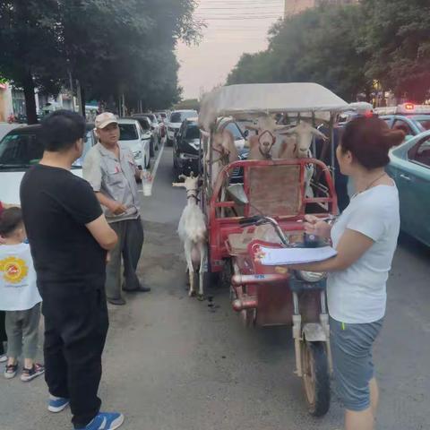 临潼区动物卫生监督所排查拉羊卖奶经营户  保障鲜奶市场质量安全