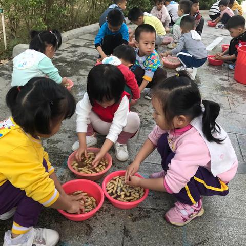 真实体验游戏促进幼儿毅力养成的实践研究——基于积极心里学视野下（小3班煮花生体验生活）