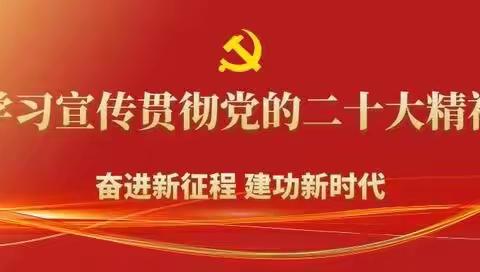 海口市计生协集合四个区计生协集中学习党的二十大报告