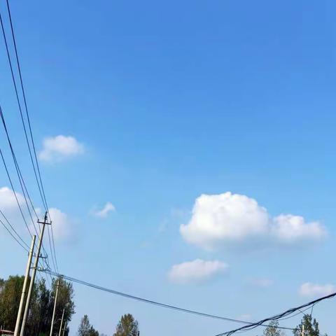 凤凰园学校二年级实践作业(四)