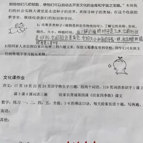 凤凰园学校二年级实践作业(2)